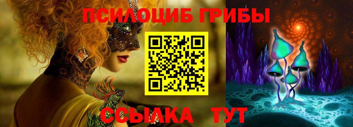 Красноармейск  Псилоцибиновые грибы Psilocybine cubensis  Вход с VPN  Псилоцибиновые грибы Psilocybe 